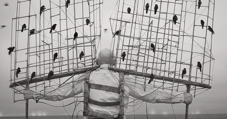 Robert and Shana Parkeharrison