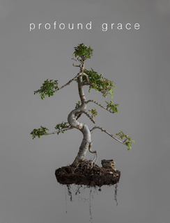 Profound Grace